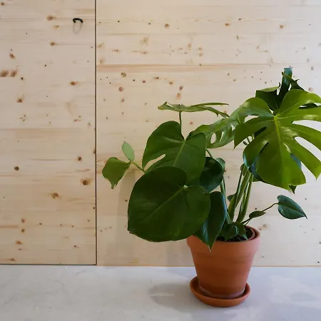 Apartament Cozy Lisbon Graça Zewnętrze zdjęcie