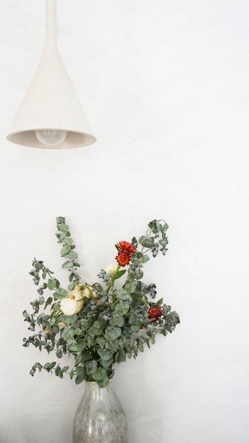 Cozy Graca Lisbona