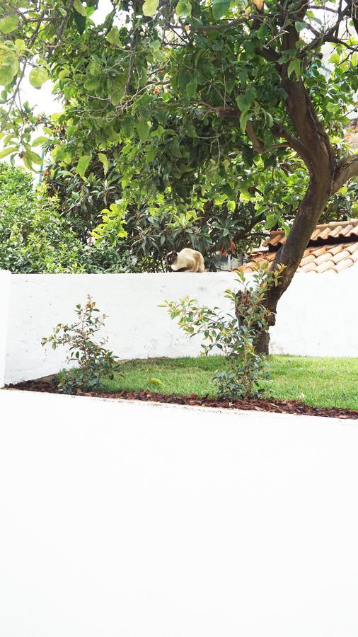 Appartamento Cozy Graca *